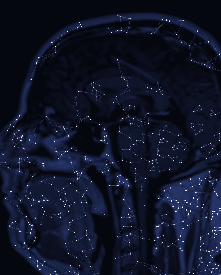 Nocturne collection — constellation rendering